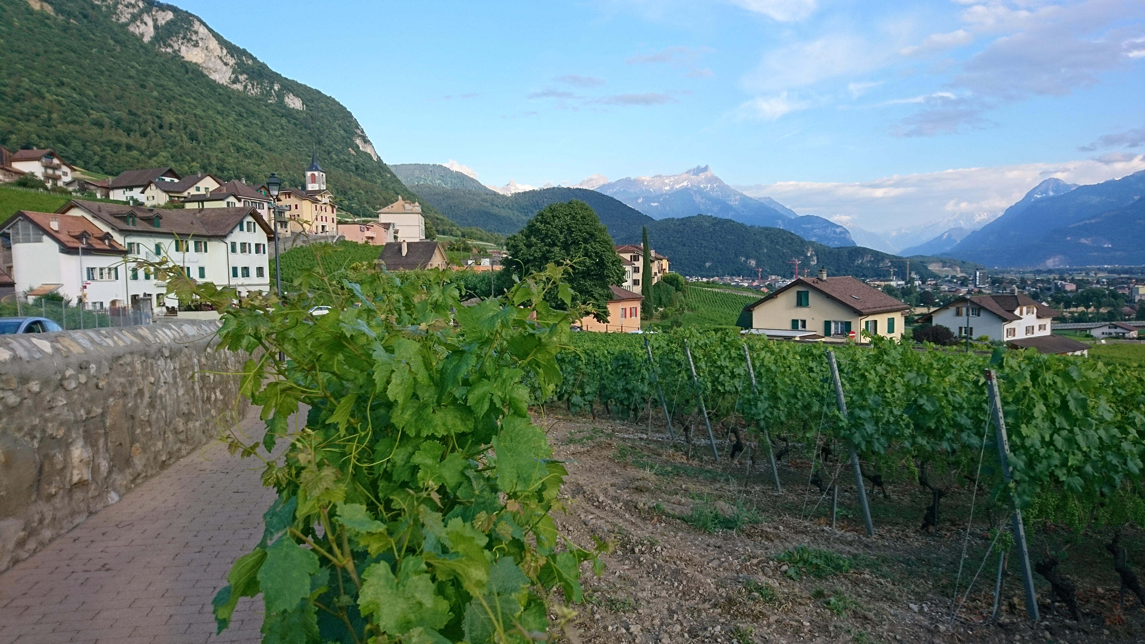 Le législatif d'Yvorne a accepté le budget 2019 hier soir